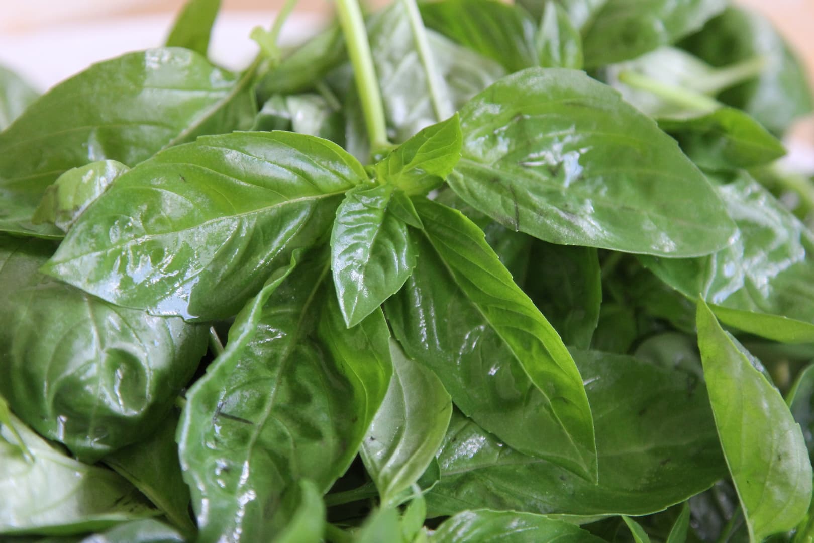 1. Basil leaves