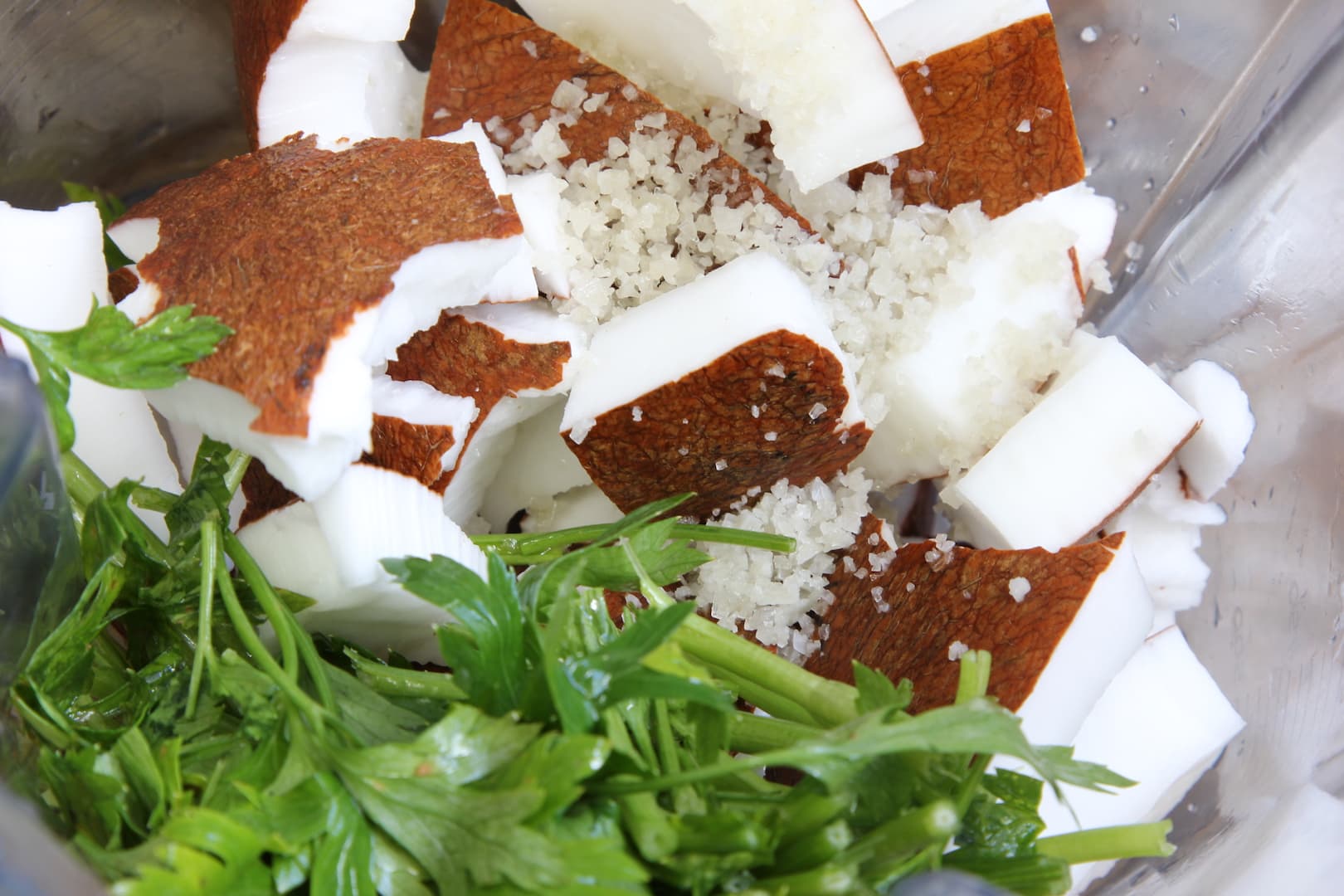 Coconut chutney 11 1