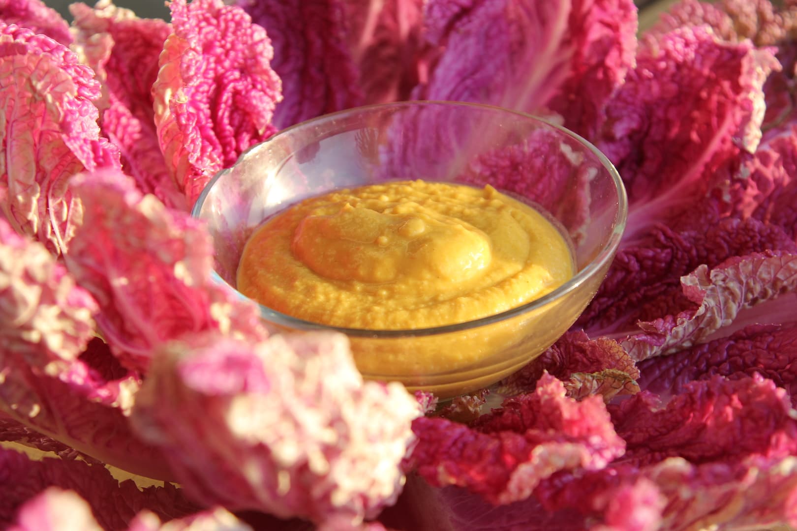 Chinese Rose cabbage 6 1