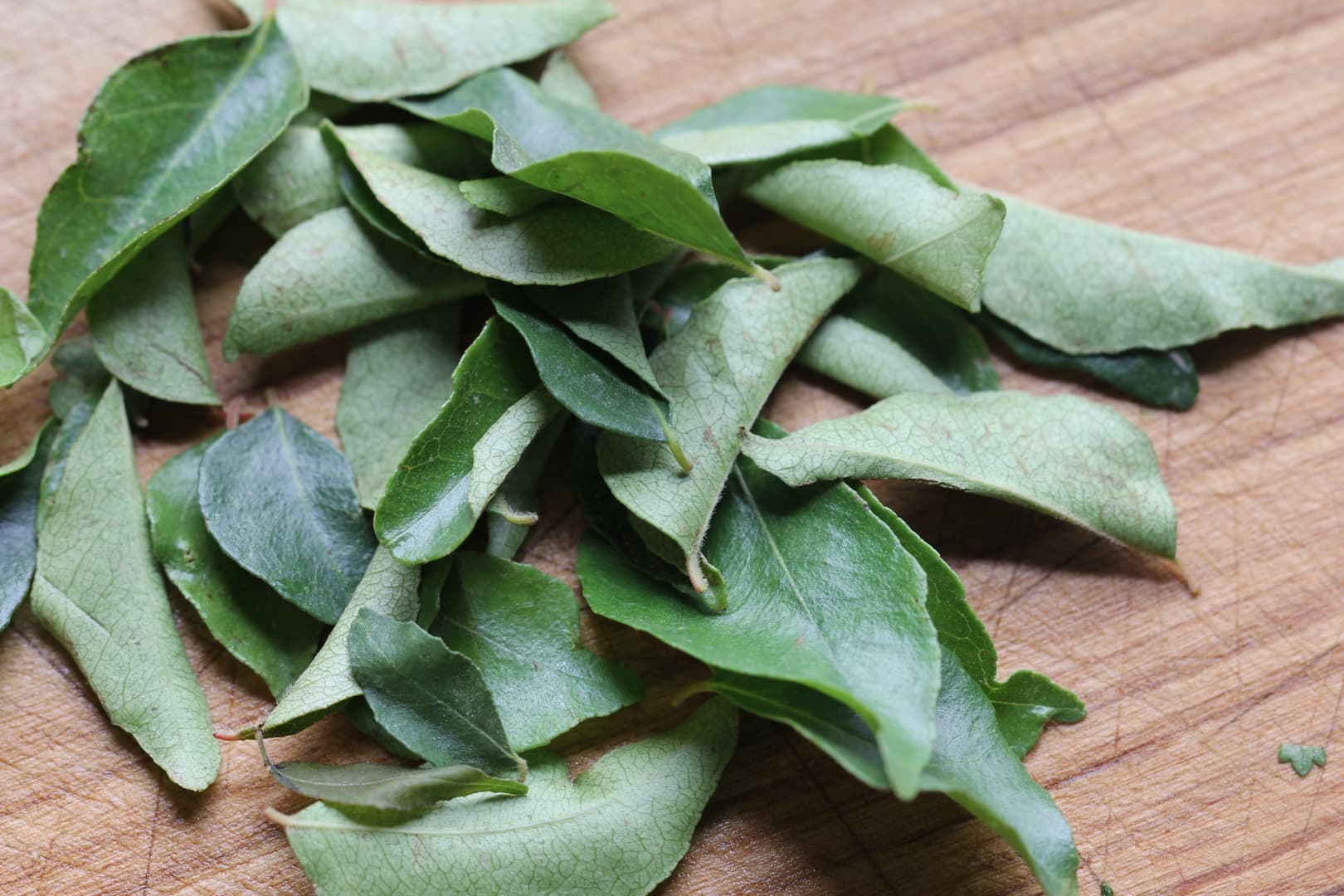 Curry leaves 2