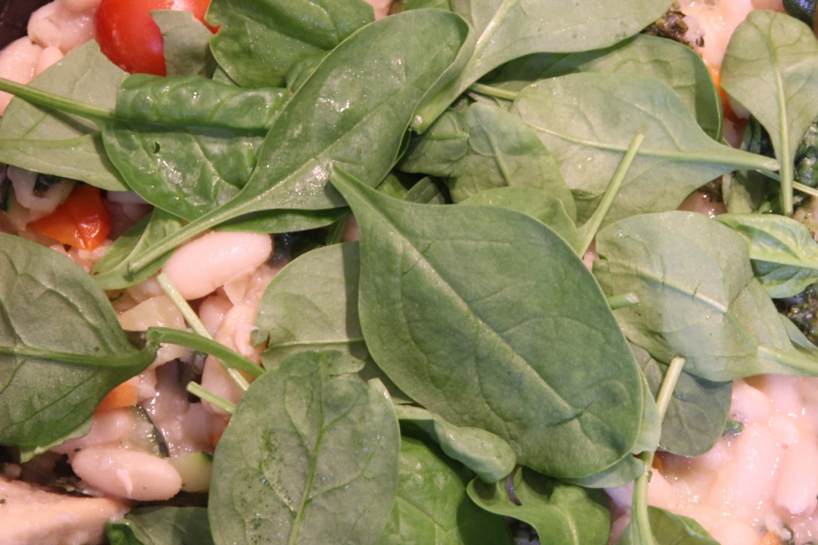 Fagioli el spinaci 8