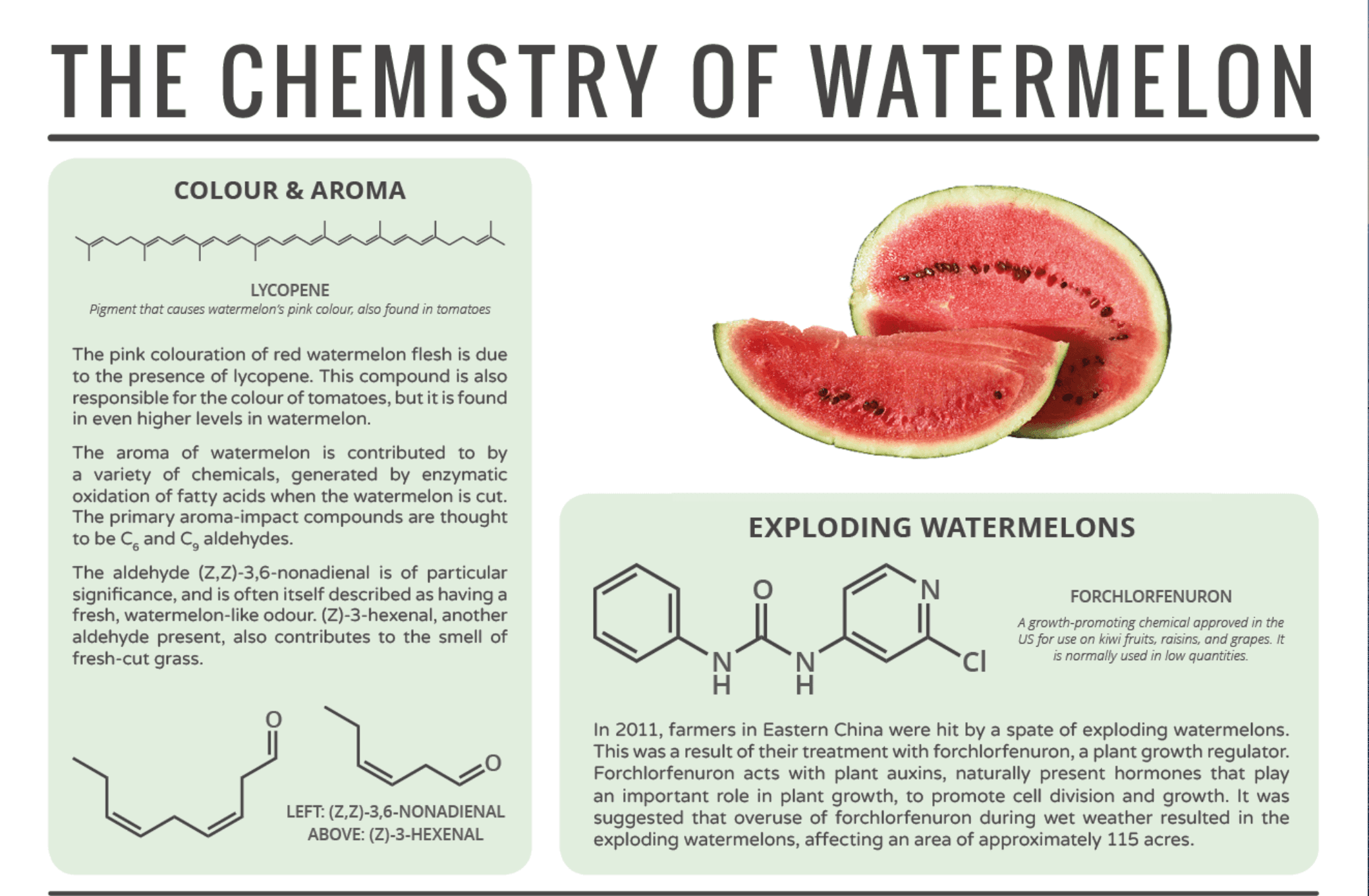 Screenshot 2020 09 15 at 11.47.33